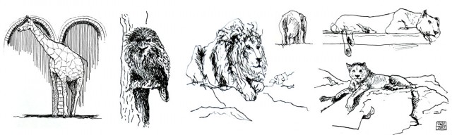 Sketches of animals at the Berlin Zoo