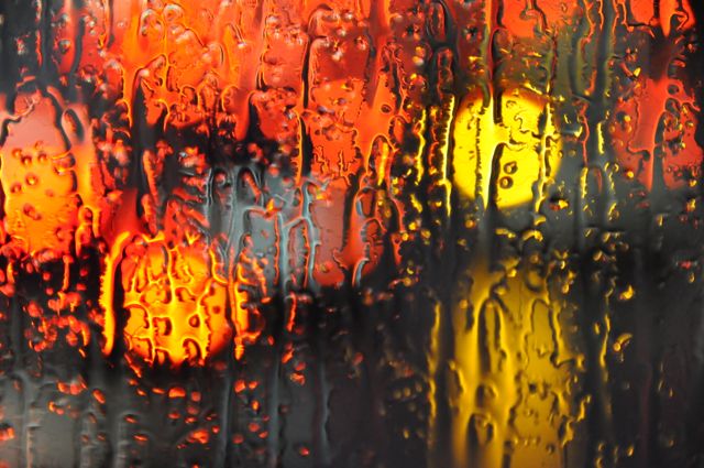 View from Berlin bus through rain